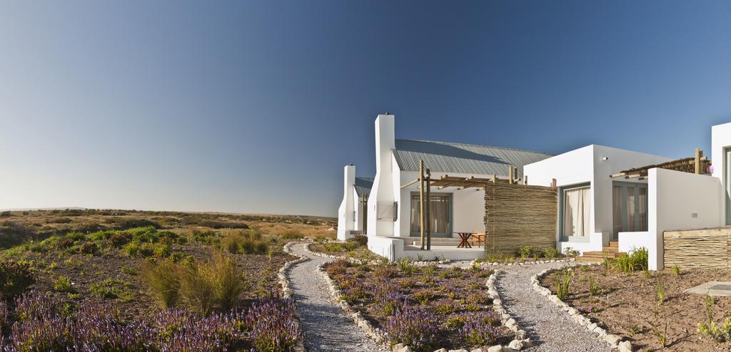 Strandloper Ocean Boutique Hotel Paternoster Ngoại thất bức ảnh
